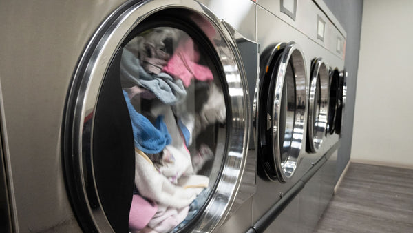 Why More Laundromat Owners Are Choosing Dexter Equipment